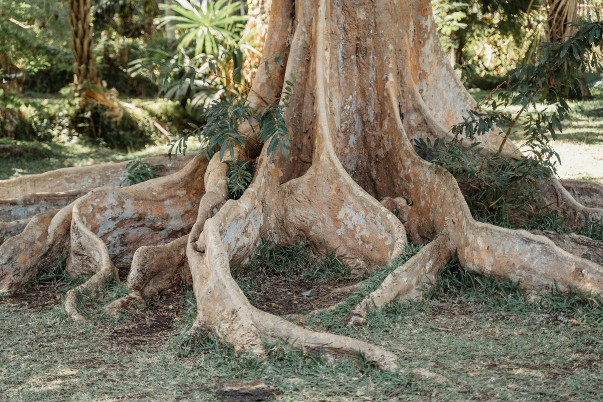 Ile_Maurice_2023_JustineGuillemettePhotographie-112-scaled