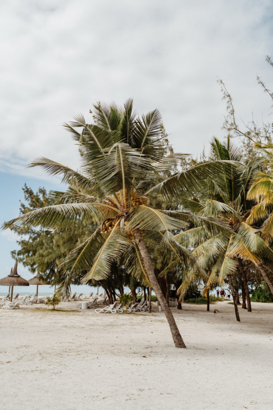 Ile_Maurice_2023_JustineGuillemettePhotographie-145-scaled