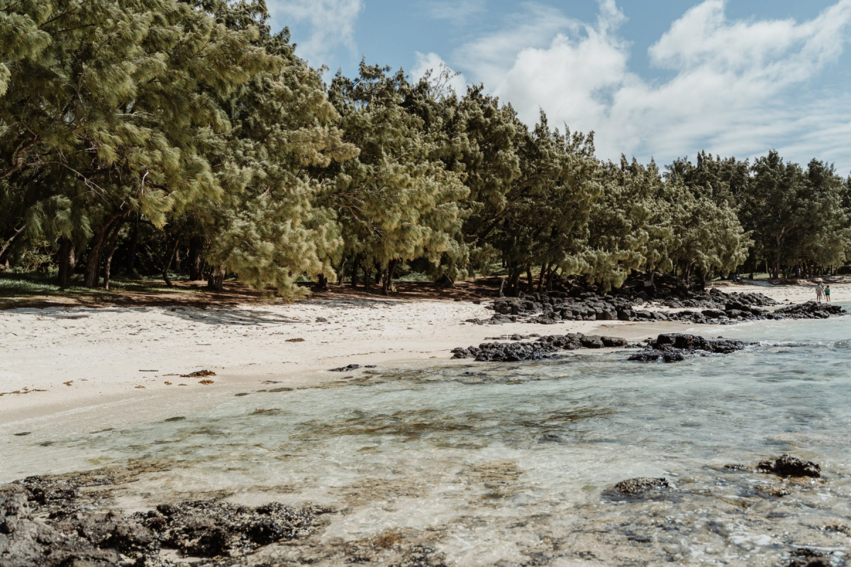 Ile_Maurice_2023_JustineGuillemettePhotographie-181-scaled