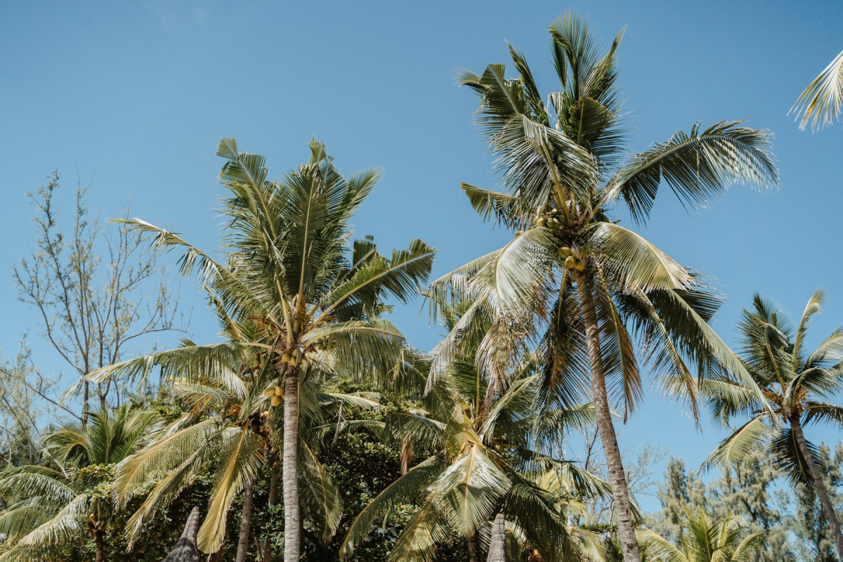 Ile_Maurice_2023_JustineGuillemettePhotographie-192-scaled