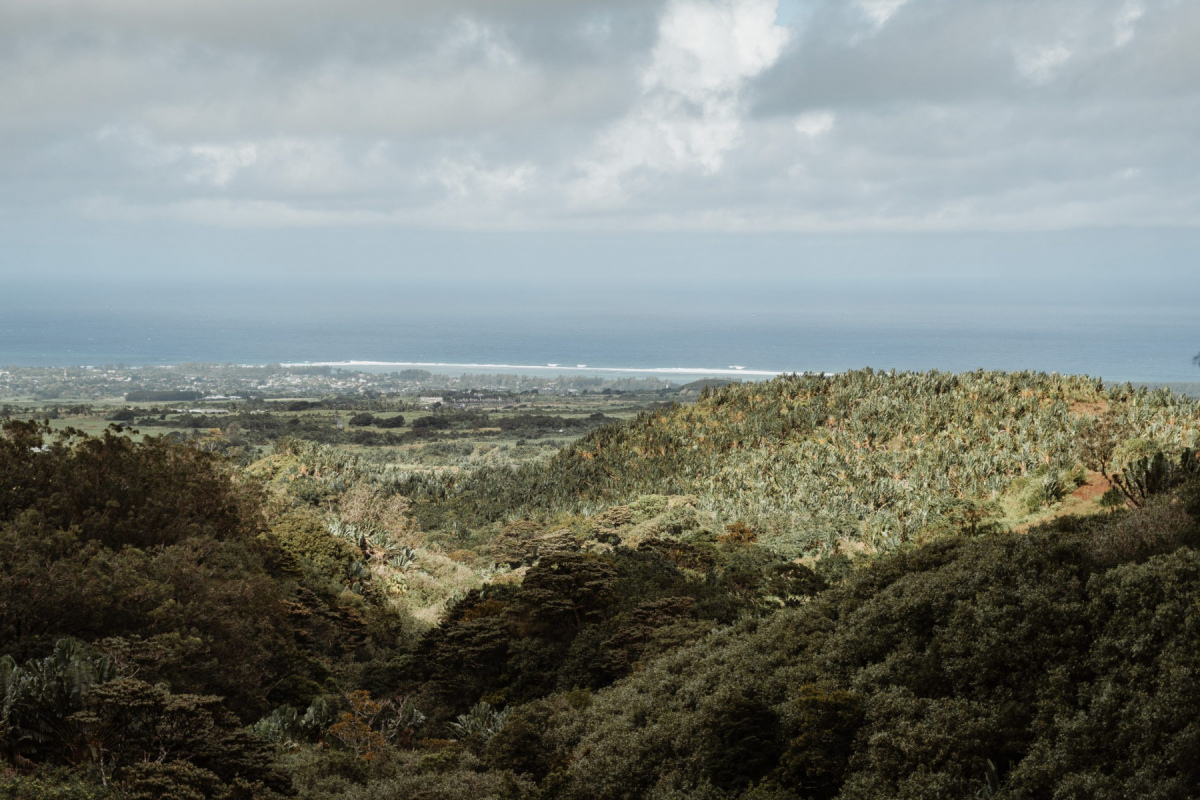 Ile_Maurice_2023_JustineGuillemettePhotographie-20-scaled