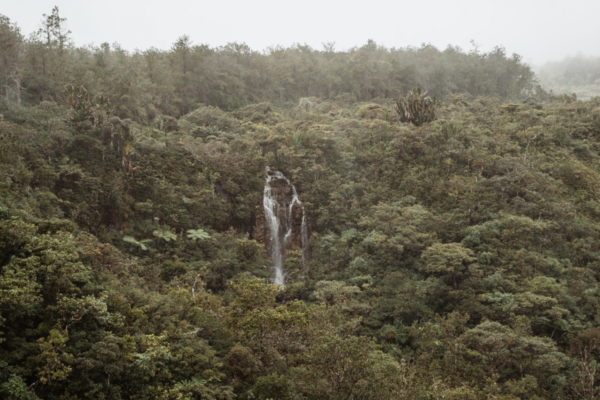 Ile_Maurice_2023_JustineGuillemettePhotographie-23-scaled