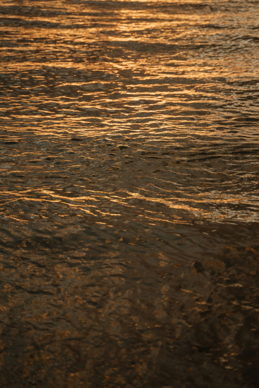 Ile_Maurice_2023_JustineGuillemettePhotographie-263-scaled