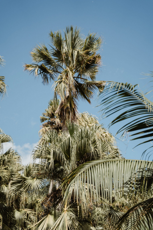 Ile_Maurice_2023_JustineGuillemettePhotographie-68-scaled