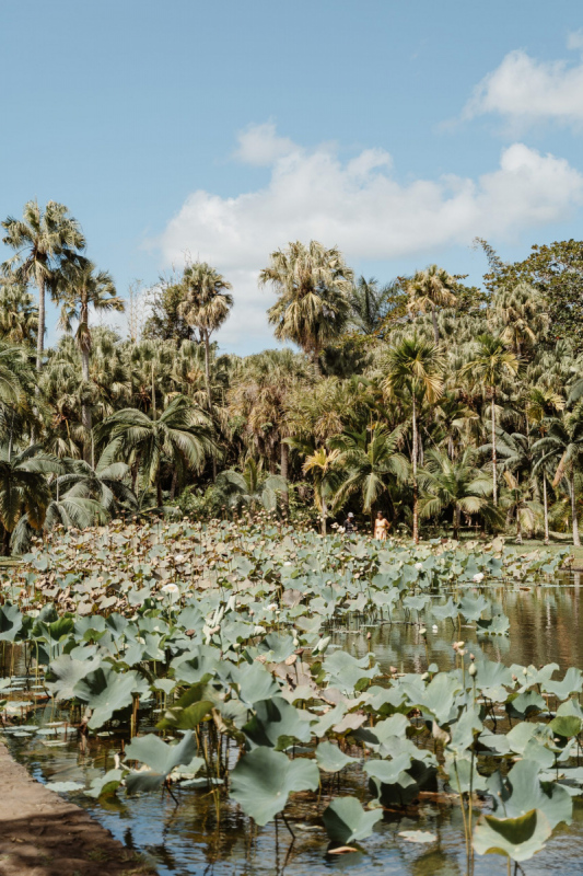 Ile_Maurice_2023_JustineGuillemettePhotographie-71-scaled