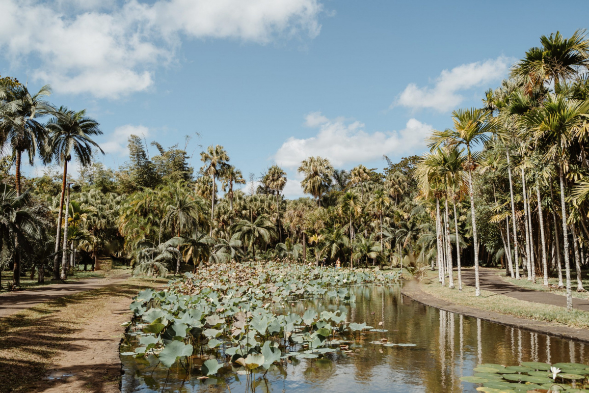 Ile_Maurice_2023_JustineGuillemettePhotographie-72-scaled