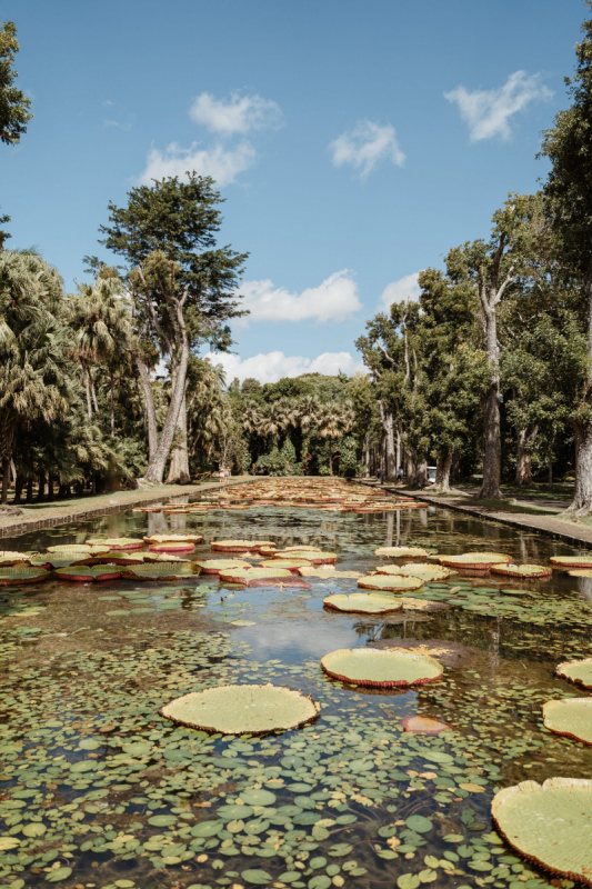 Ile_Maurice_2023_JustineGuillemettePhotographie-73-scaled