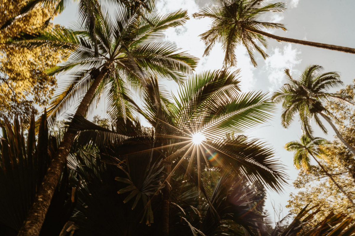 Ile_Maurice_2023_JustineGuillemettePhotographie-83-scaled