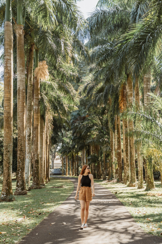 Ile_Maurice_2023_JustineGuillemettePhotographie-94-scaled