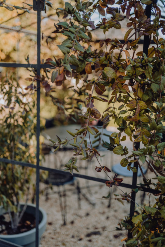 LaCloseraie_Couple_Justine_Guillemette_Photographie-2-scaled