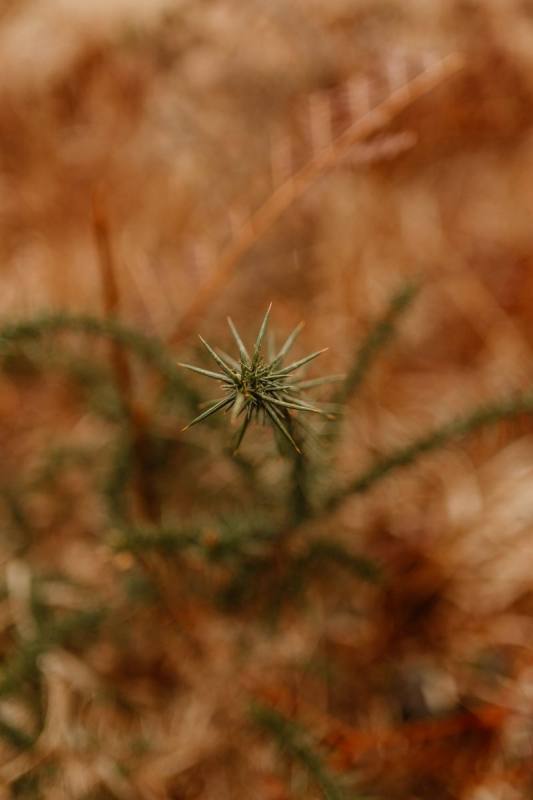 Couple_JulietteViven_JustineGuillemettePhotographie-180-scaled
